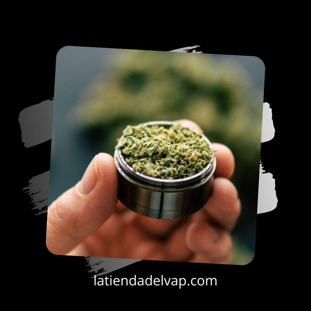 Grinder para Hierba | Todo lo que necesitas Saber